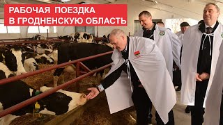 Лукашенко: Другие президенты будут у вас! Просто наберитесь терпения! / Визит в Гродненскую область