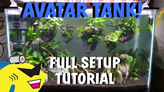 AVATAR PLANTED AQUARIUM: Shrimp Tank Setup Tutorial