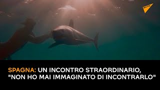Spagna, un incontro straordinario: "Non ho mai immaginato di incontrarlo"