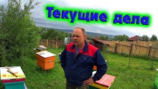 ДЕЛАЕМ СОЛЬ-ЛИЗУНЕЦ//СЕНОКОС ОСТАНОВЛЕН//НАВОДИМ ПОРЯДОК//деревенские будни