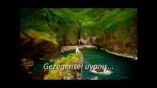 İLÂHÎ NİZAM VE KÂİNAT KİTABI - 54 Yıldır Beklenen Kitap