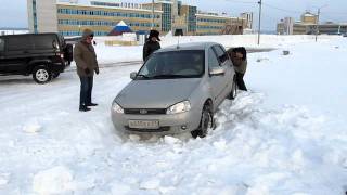 Не спасли Калину цепи, засадили мы ее)