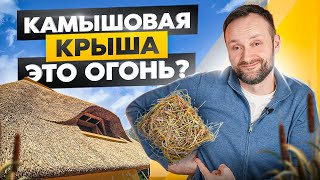 Крыша из соломы и камыша: будущий тренд или фатальная ошибка?