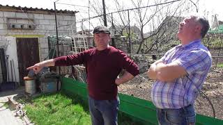 Николаевские голуби. г.Терновка 30