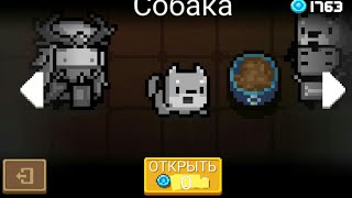 Как купить что-нибудь в Soul Knight бесплатно?