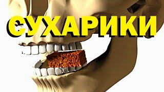 Галилео. Сухарики