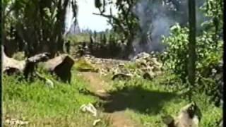 Papua - Niugini Pasin in Riwo Madang Nagada