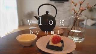 Vlog暮らし｜朝家事と和食一人ご飯／桜と和菓子