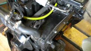 MerCruiser 3.0 L Engine Running