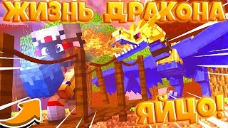 ЖИЗНЬ ДРАКОНА В МАЙНКРАФТ #2 КТО УКРАЛ ДРАКОНЬЕ ЯЙЦО!?