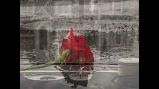 ♥Эдуард Асадов ★ Моя любовь...*´¨`*•.¸¸.♫♥