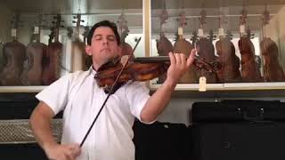 Viola Copy Stradivarius -Oliveira Musical