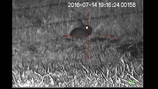 Bunny hunt with Yukon Photon Part 1