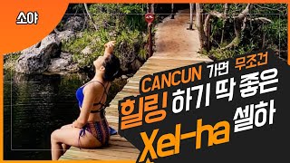 eng)칸쿤 제일 좋았던 곳/ 셀하(xelha)/칸쿤 자유여행