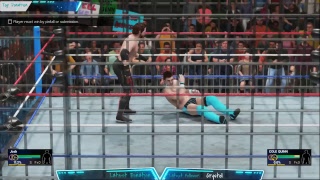 Playing that WWE 2K19 -- I'm using a 1060 6GB just in case you're wondering