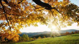 "Mercies Anew" - Sovereign Grace Music