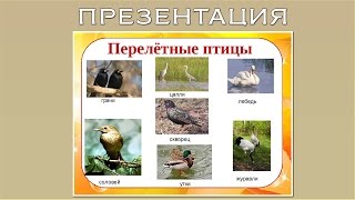 Презентация для дошкольников перелетные птицы осенью