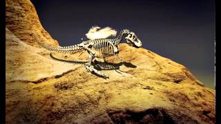 T-REX  - maya animation