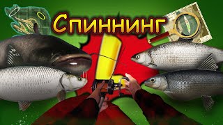 СПИННИНГ! Русская рыбалка 4!