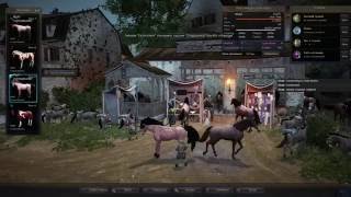 Black Deser RU F2P Скрещивание лошадей в БДО