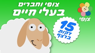 טלוויזיה חינוכית לפעוטות - פוגשים בעלי חיים - 15 דק' במיוחד לקטנטנים
