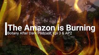 The Amazon is Burning: Fires, Brazil, and Ecological Disaster | Botany After Dark, Episode 3