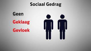 Wiver Bedrijfsregels op de werkvloer