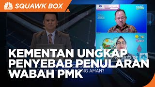 PMK Ternak Mewabah, Kementan Ungkap Penyebab & Penyebarannya