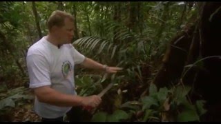 №10 Viaje a Ecuador, Travel to Ecuador, Путешествие в Эквадор