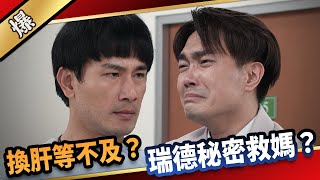 《八點檔搶先爆》愛的榮耀 EP103 換肝等不及？ 瑞德秘密救媽？