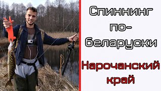 Осенний спиннинг в Беларуси. Норочанский край.