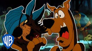Scooby-Doo! en Français | Il n'y a AUCUN masque!!