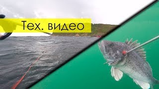 Зелёное море, терпуг, окуни [тех. видео]