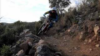 WHO STIRRED THE BRANCHES? DANI MUÑOZ