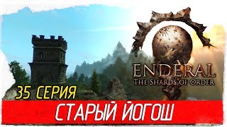 Enderal: The Shards of Order -35- СТАРЫЙ ЙОГОШ [Прохождение на русском]