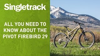 Introducing the Firebird 29