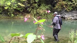 Partie de pêche Franco-Suisse