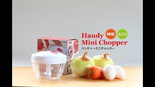 【簡単みじん切り！】ハンディミニチョッパー【HMC-01】(Full)