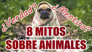 8 MITOS POPULARES SOBRE ANIMALES ¿Verdaderos o falsos?