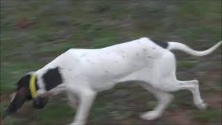 3029