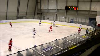 Ženy 15 ČR CZE x GER 6:3 Roudnice n L / 8.11. 2014 / 3 třetina