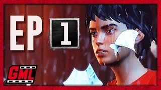 LIFE IS STRANGE 2 EPISODE 1 fr - FILM JEU COMPLET