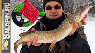 Ловля щуки на жерлицы, зимняя рыбалка [salapinru]
