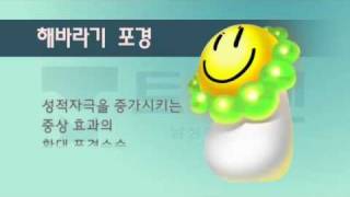 특수포경수술의 종류 및 수술방법 - 트루맨