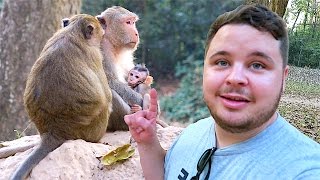 WILD BABY MONKEYS!!