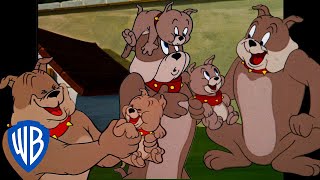Tom et Jerry en Français ???????? | Spike et Tyke : le meilleur duo père-fils ‍ |@WBKidsFrancais​