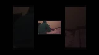 1 boy 2 cats original video (GRAPHIC FOOTAGE)
