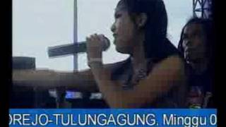 monata BURUNG ena movis