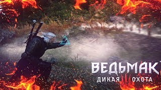 Лучший ✦замораживающий билд✦ для знака Аард в Ведьмак 3 ► Кровь и Вино