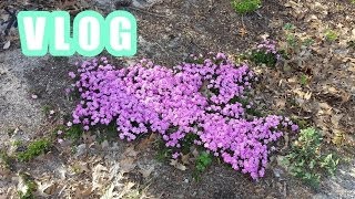 ВЛОГ // Прогулка по озеру